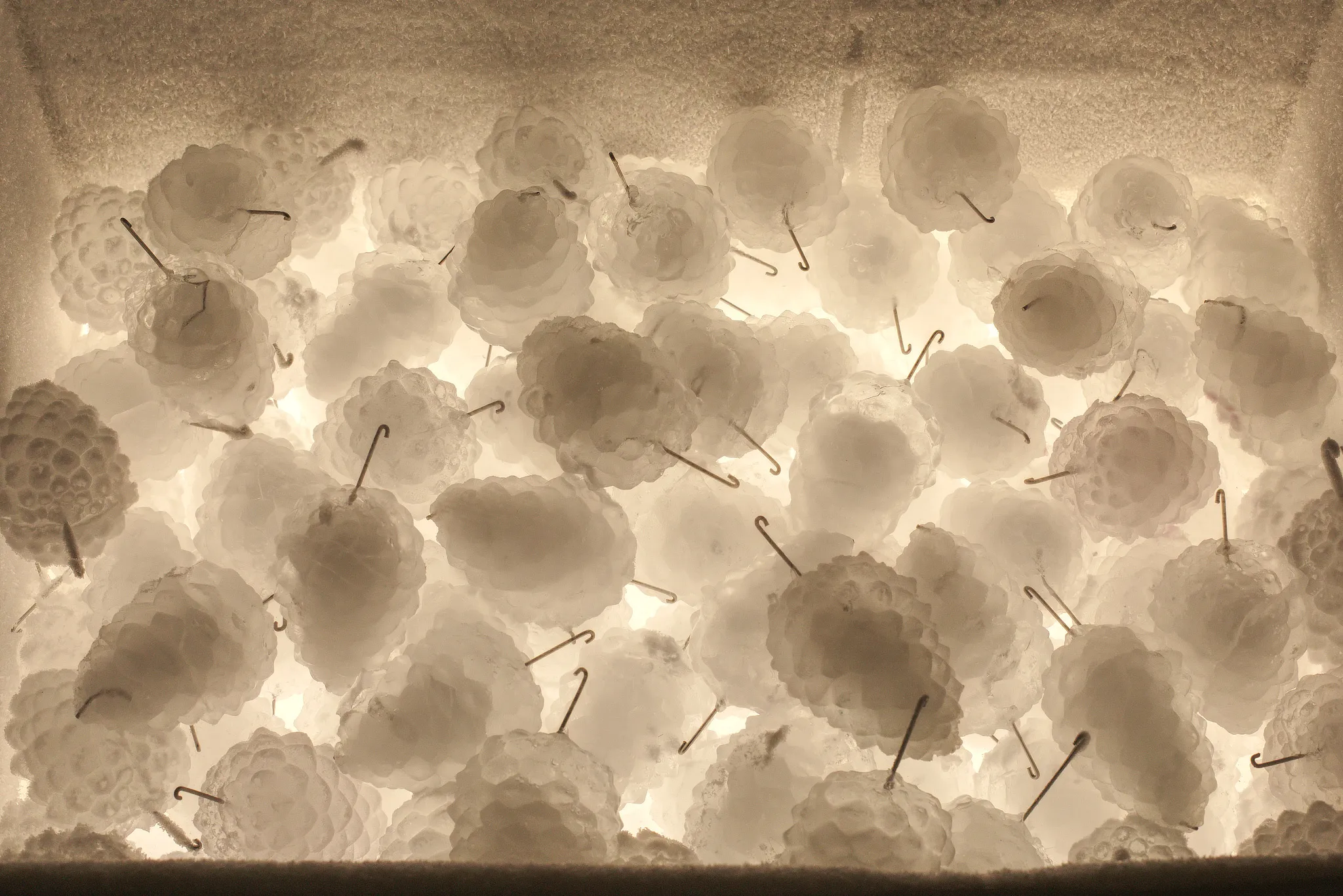 Daniel Stempfer - Speicher