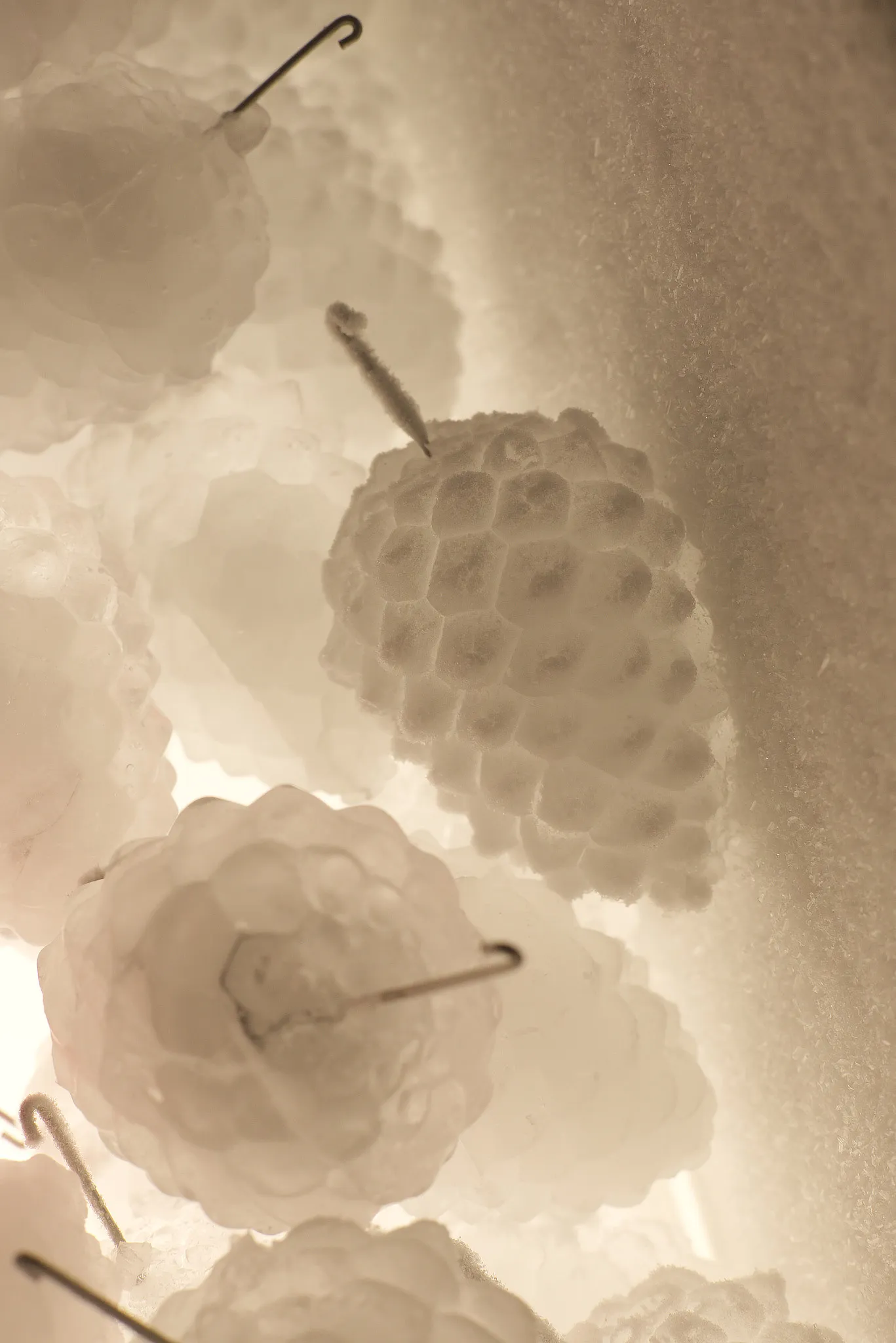 Daniel Stempfer - Speicher