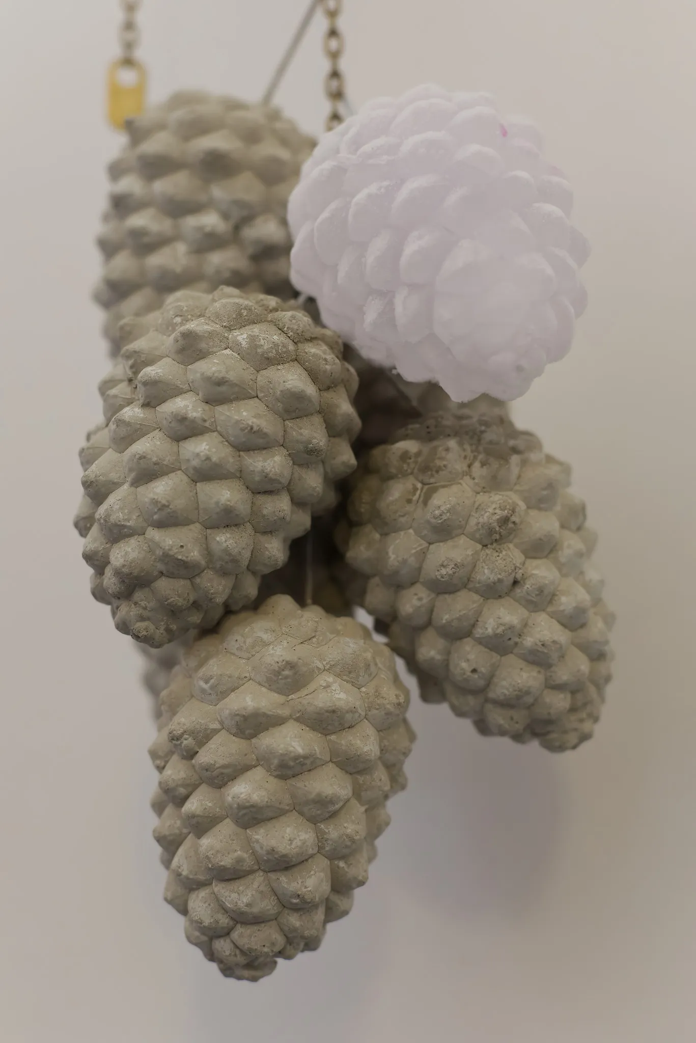 Daniel Stempfer - Referenz