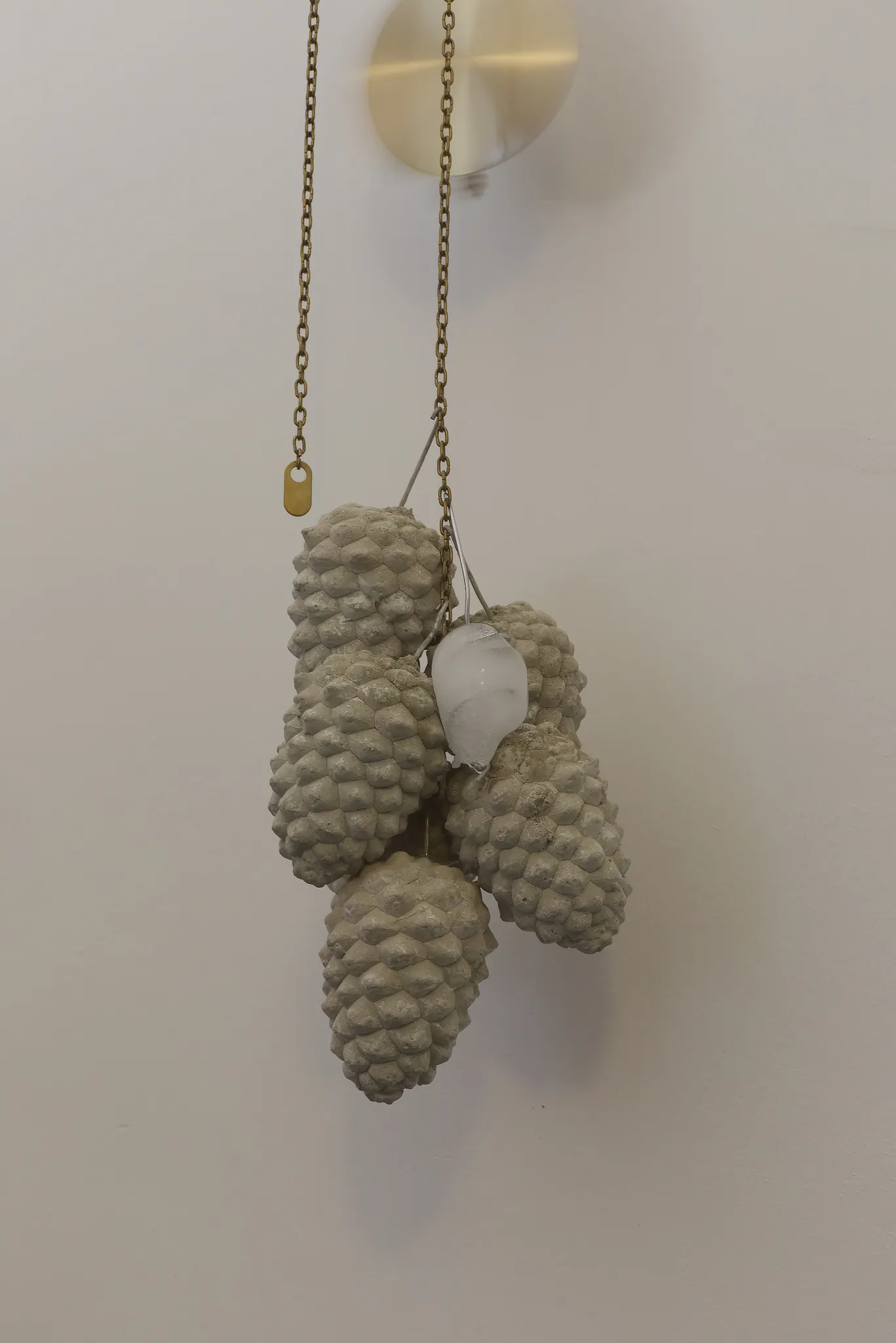 Daniel Stempfer - Referenz