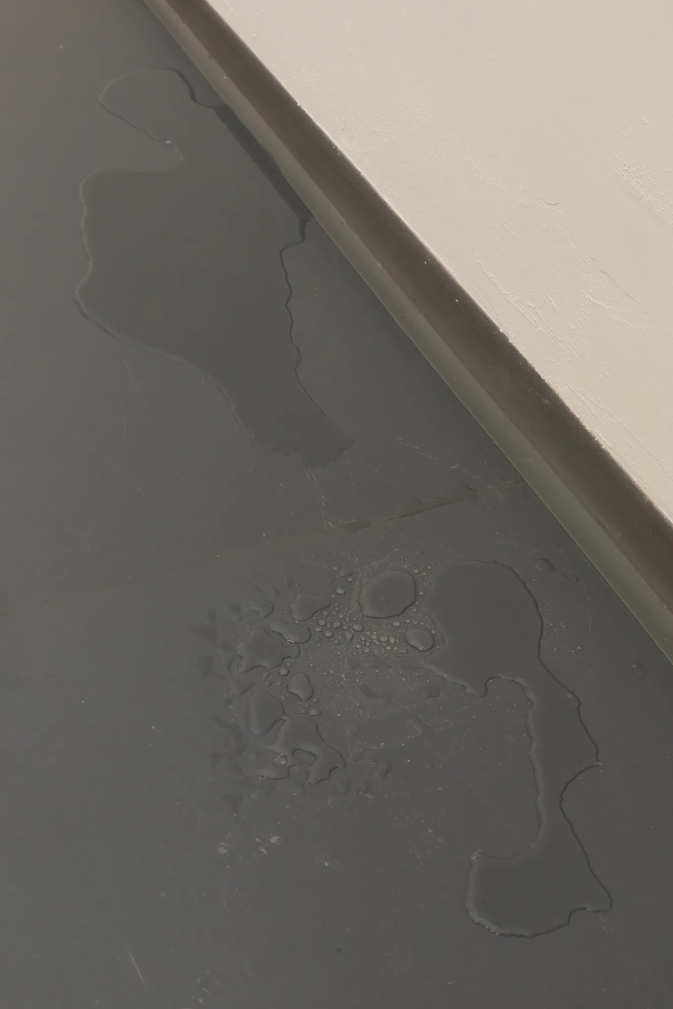 Daniel Stempfer - Referenz