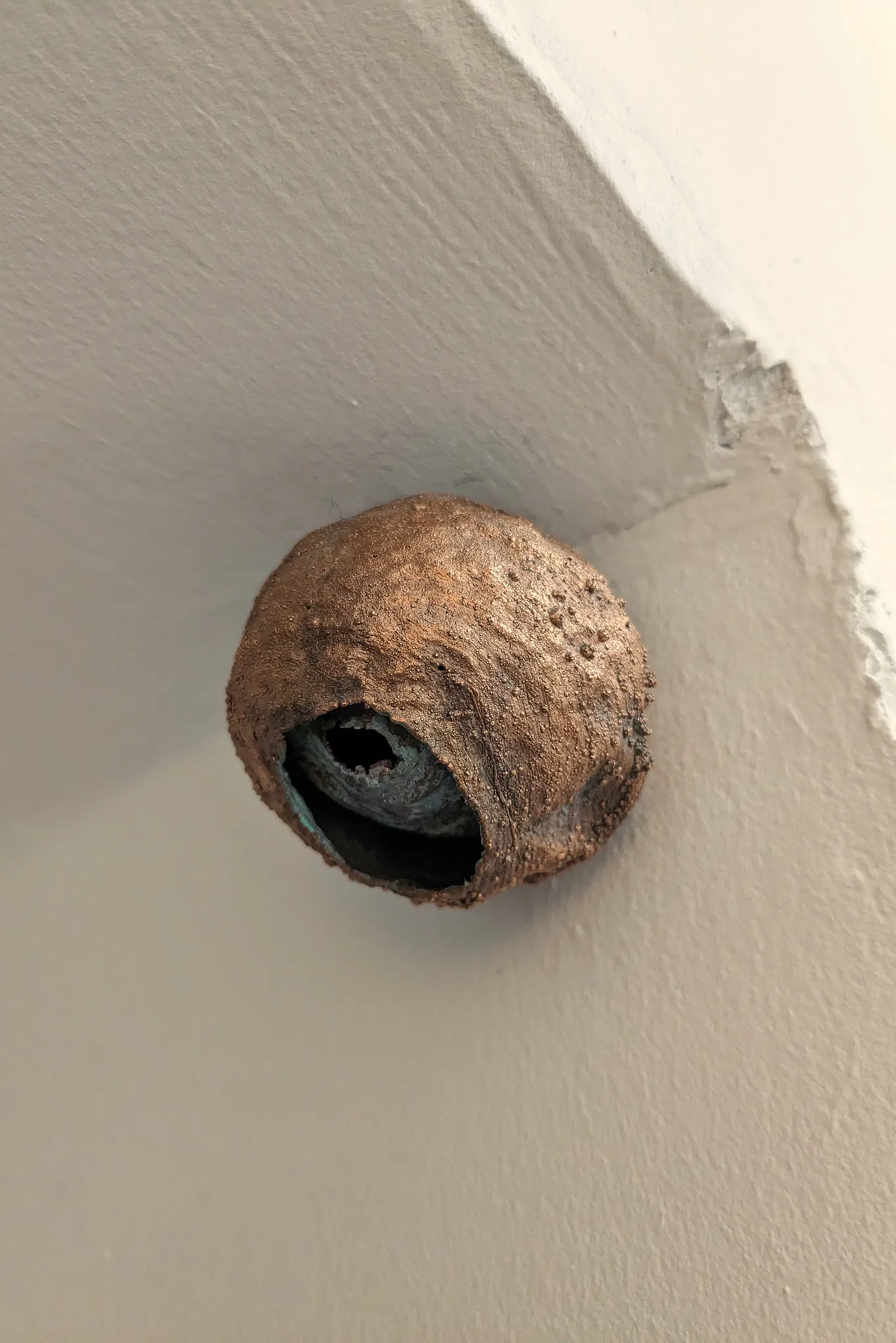 Daniel Stempfer - Nest