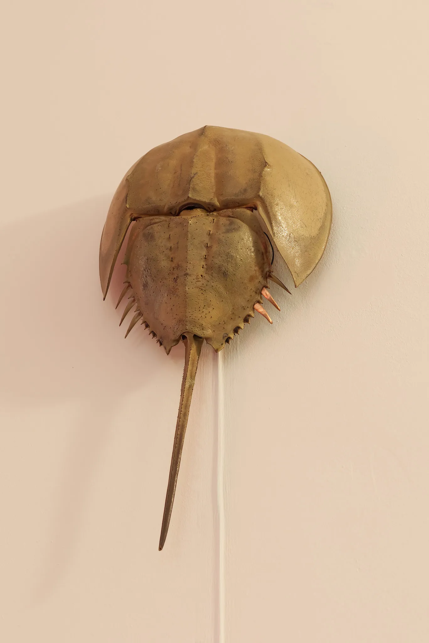 Daniel Stempfer - Meridian