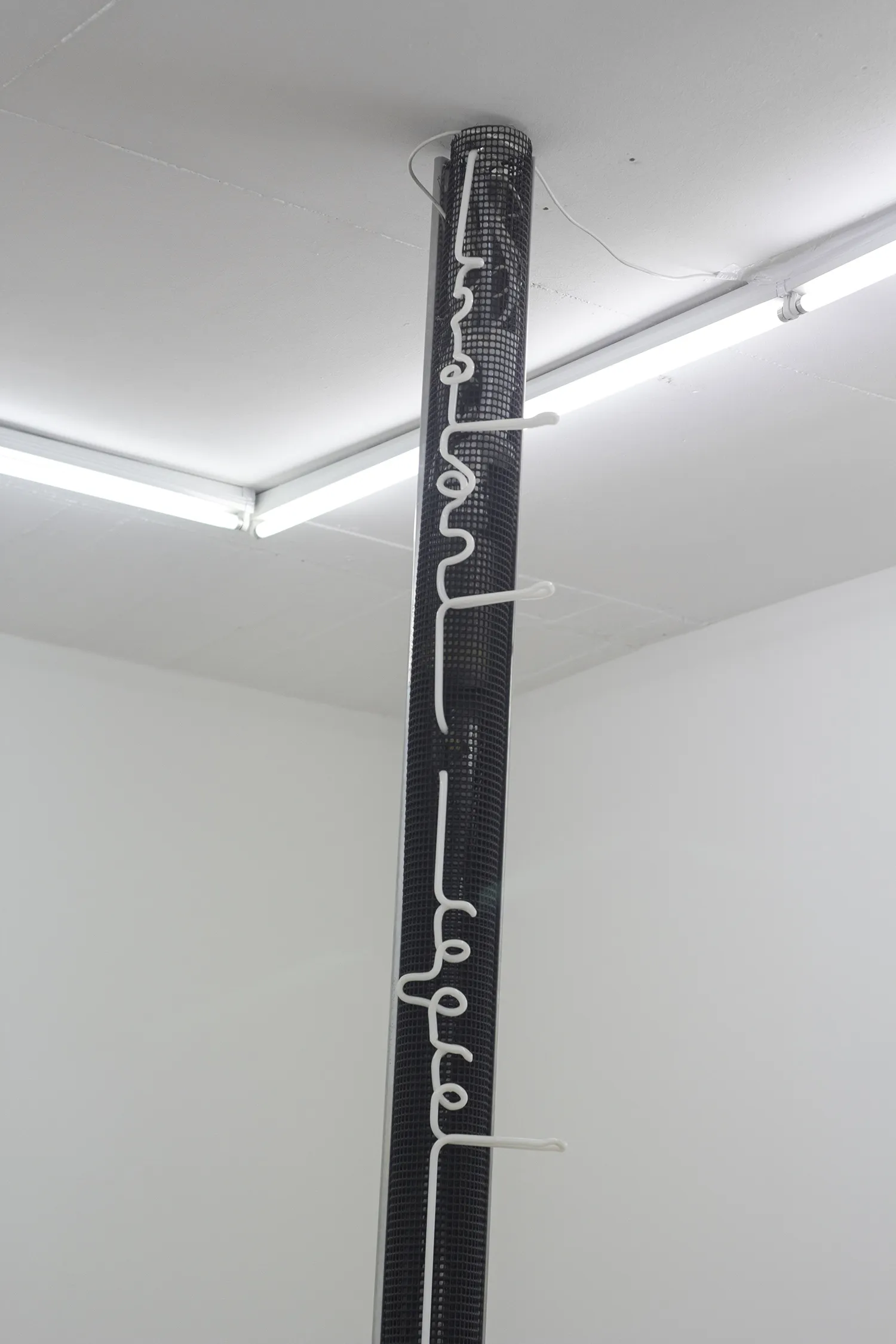 Daniel Stempfer - undefined