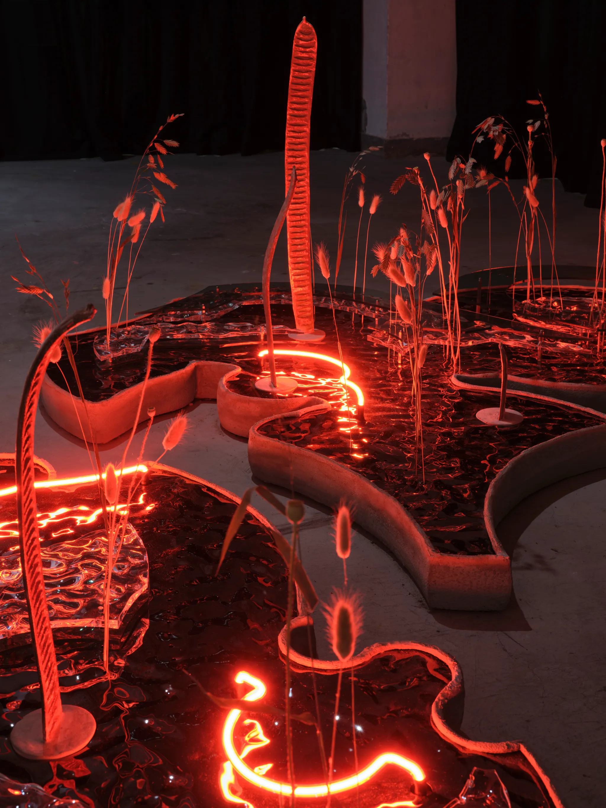 Daniel Stempfer - undefined