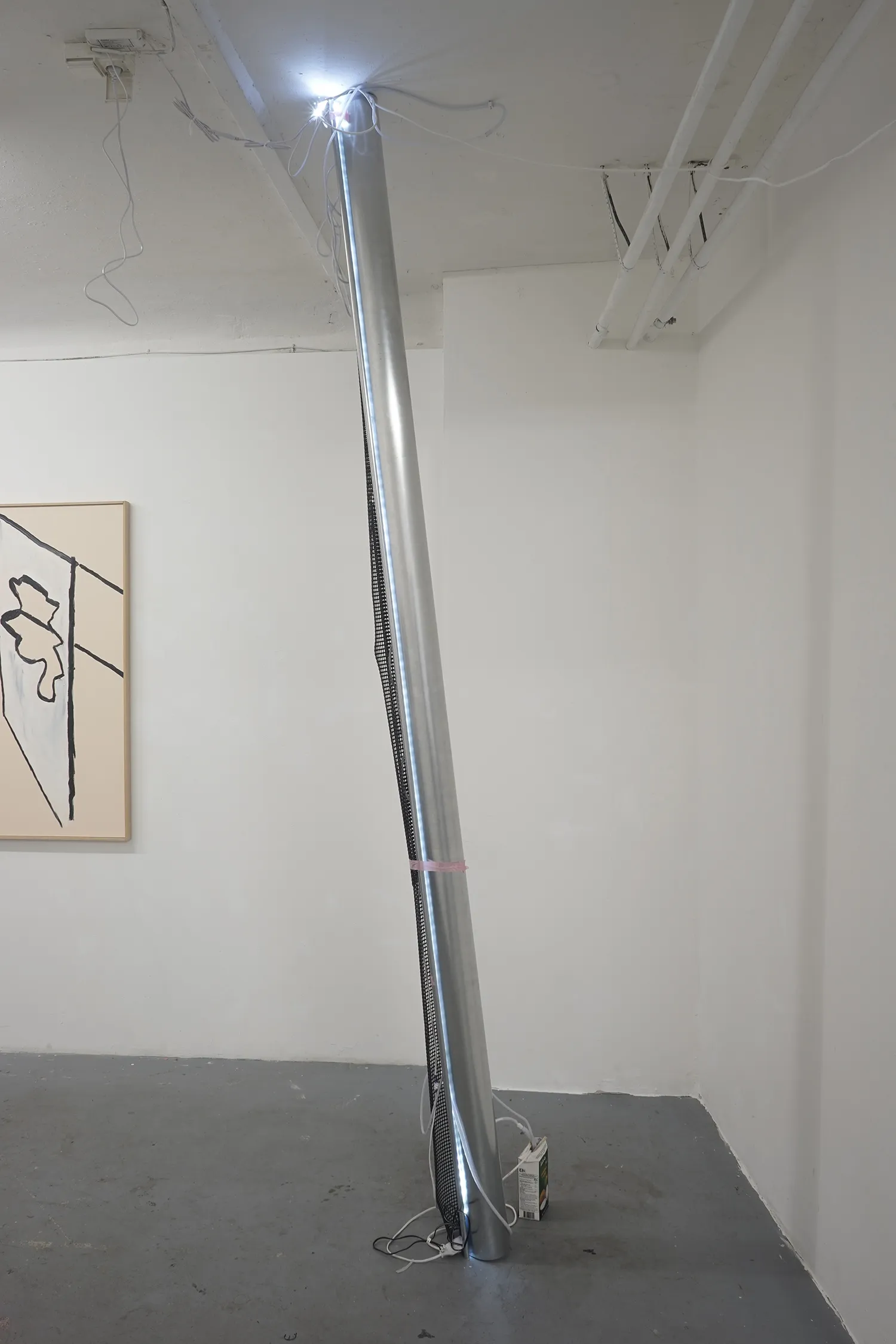 Daniel Stempfer - undefined