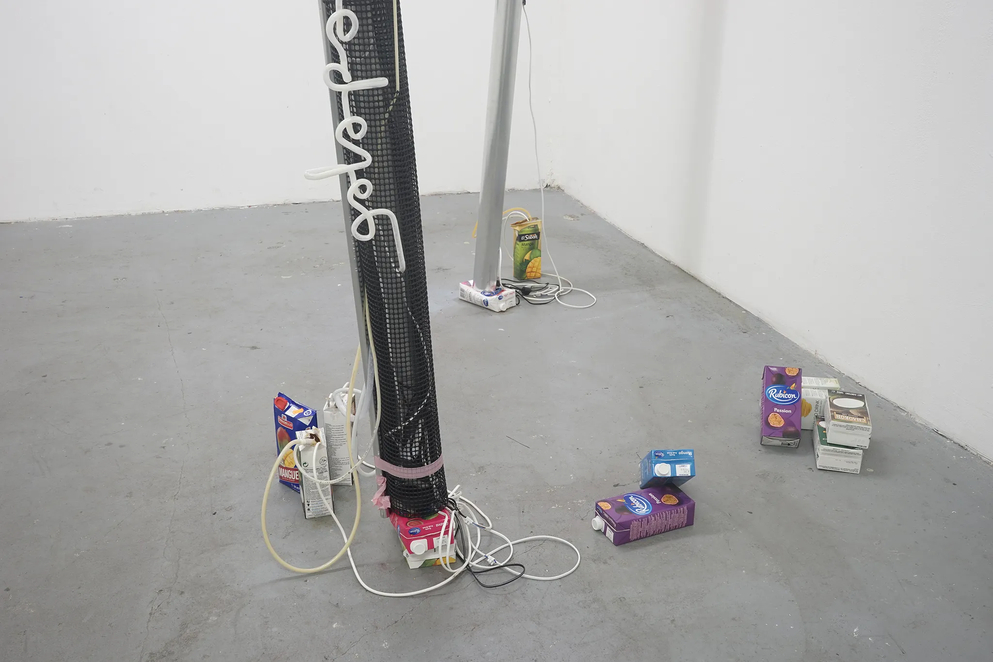 Daniel Stempfer - undefined