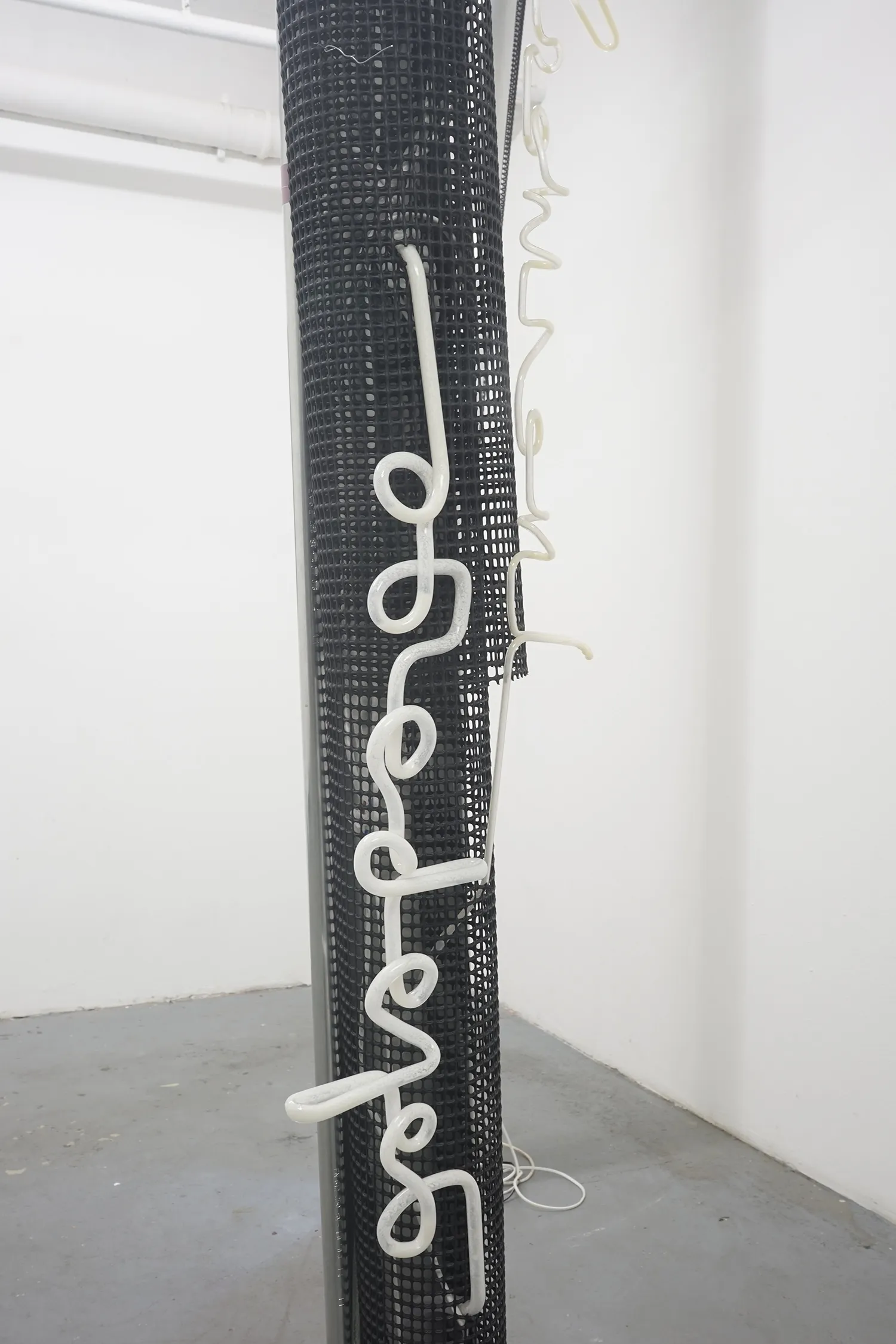 Daniel Stempfer - undefined