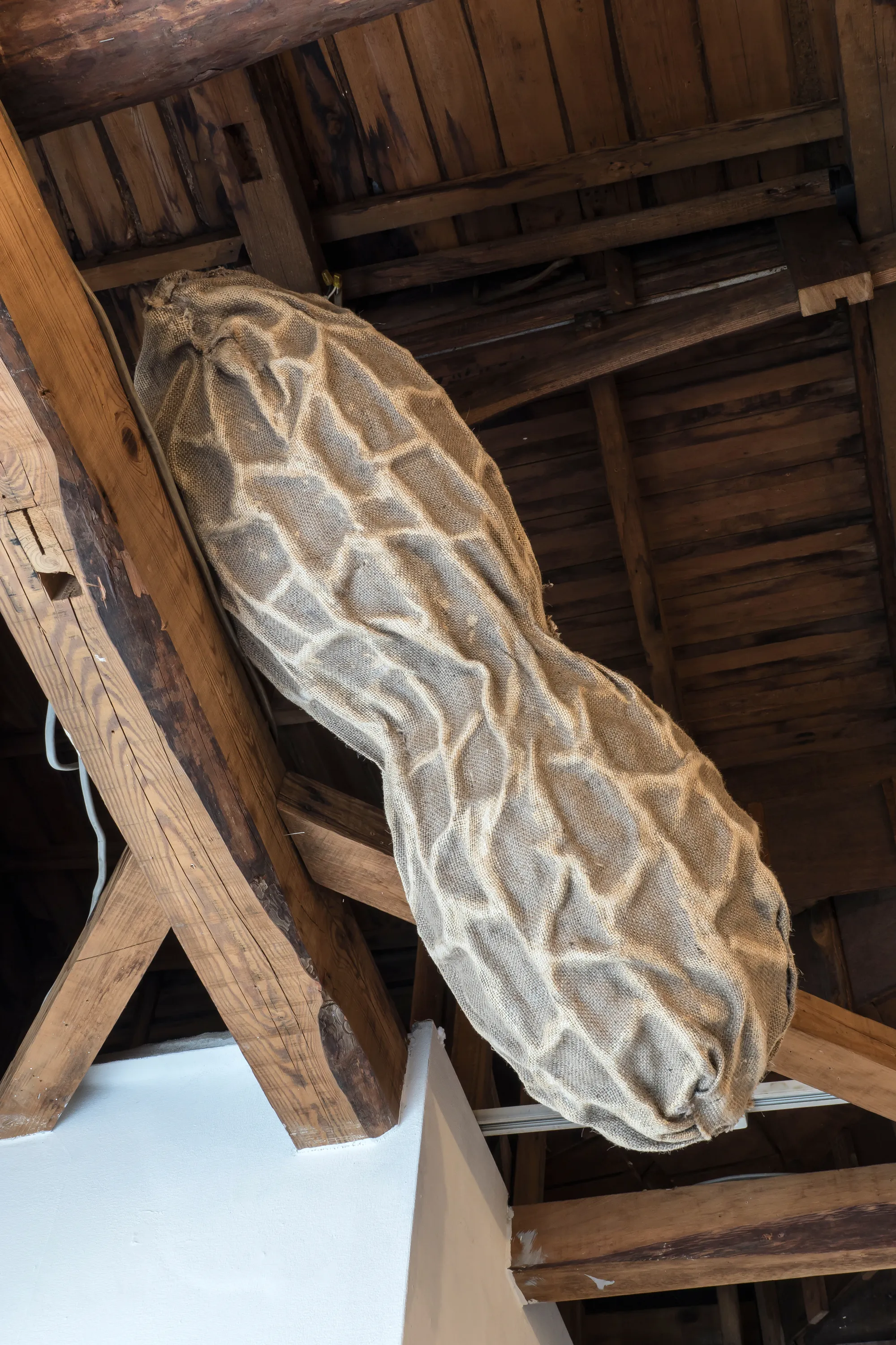 Daniel Stempfer - Nuss (1)