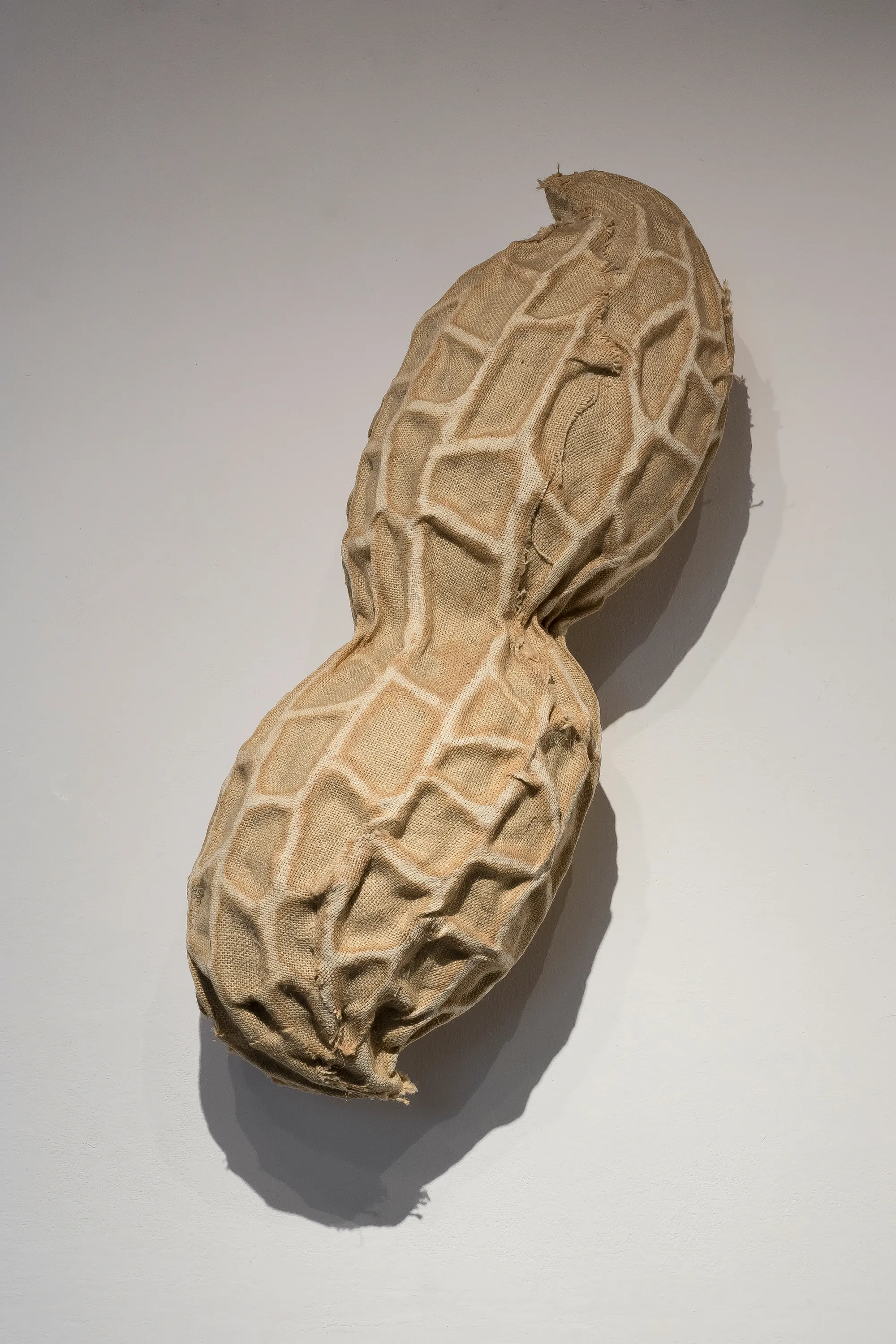 Daniel Stempfer - Nuss (2)