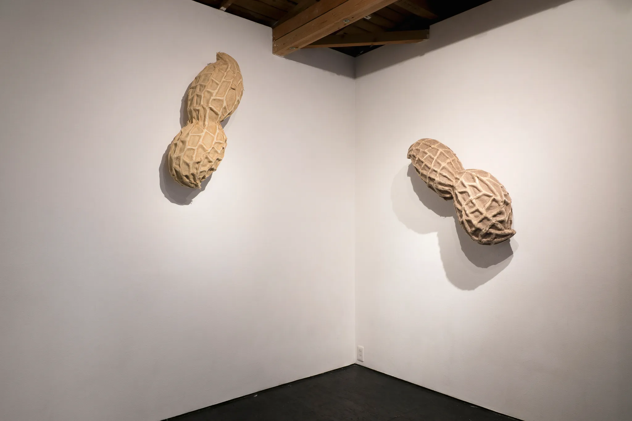 Daniel Stempfer - Nuss (2) & Nuss (3)