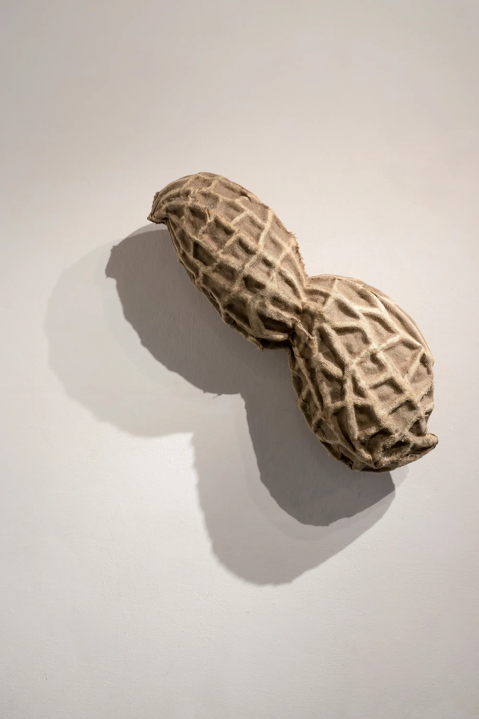 Daniel Stempfer - Nuss (3)