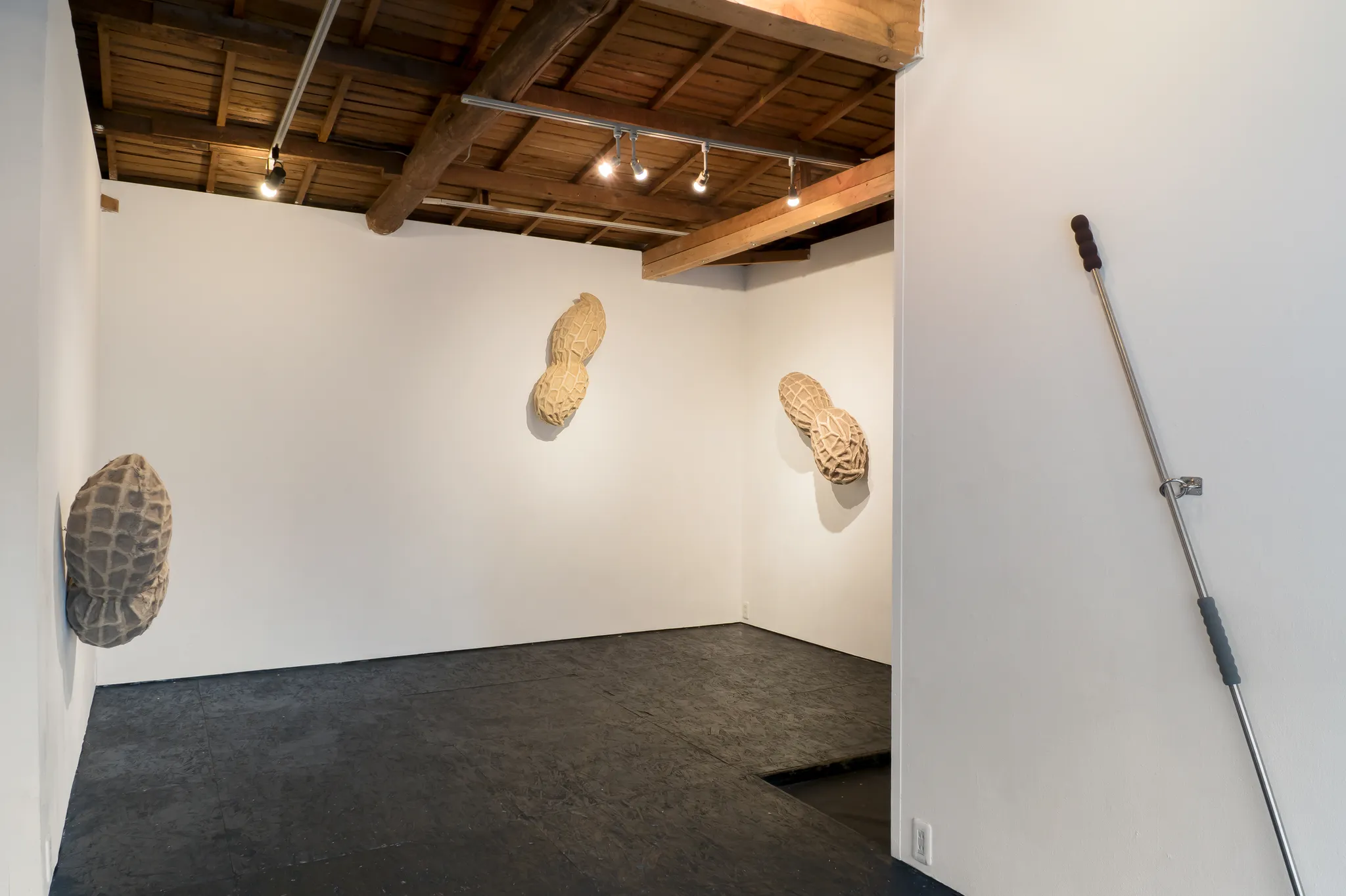 Daniel Stempfer - undefined