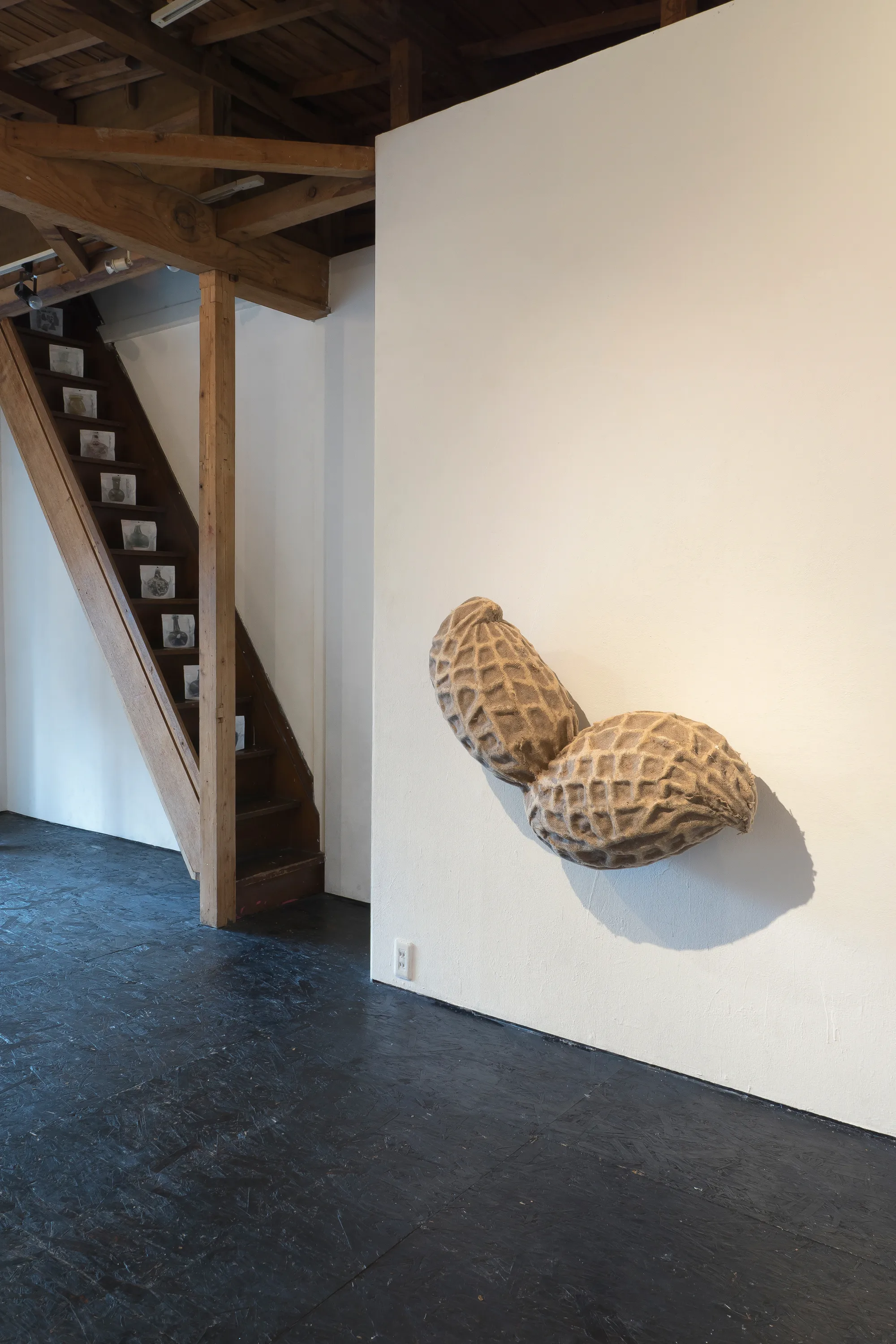 Daniel Stempfer - Nuss (5)