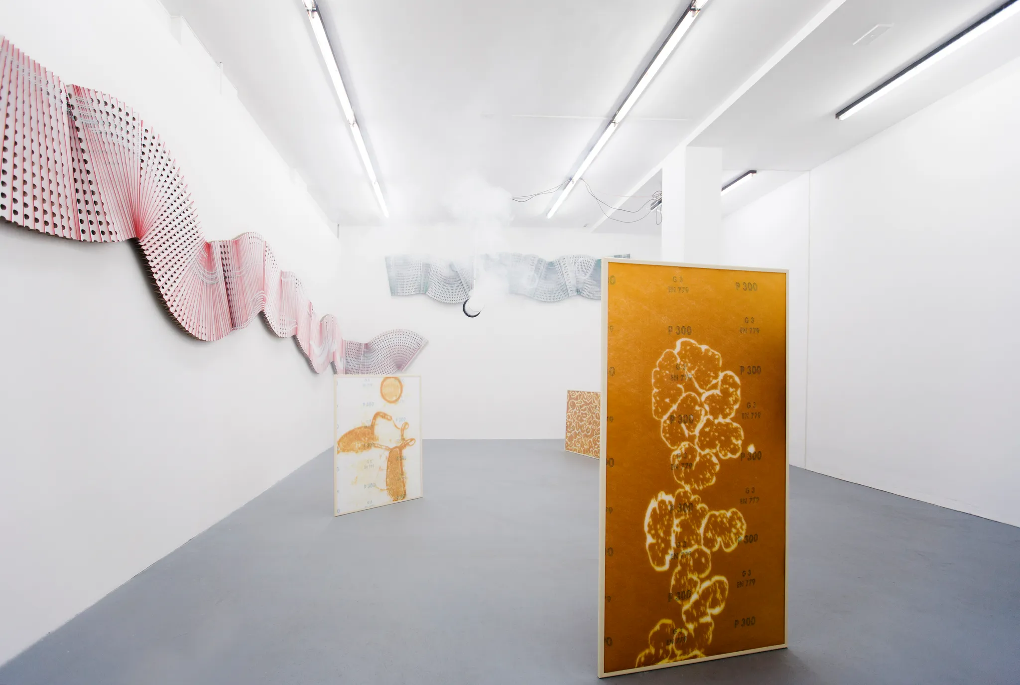 Daniel Stempfer - Installation view searching for devices