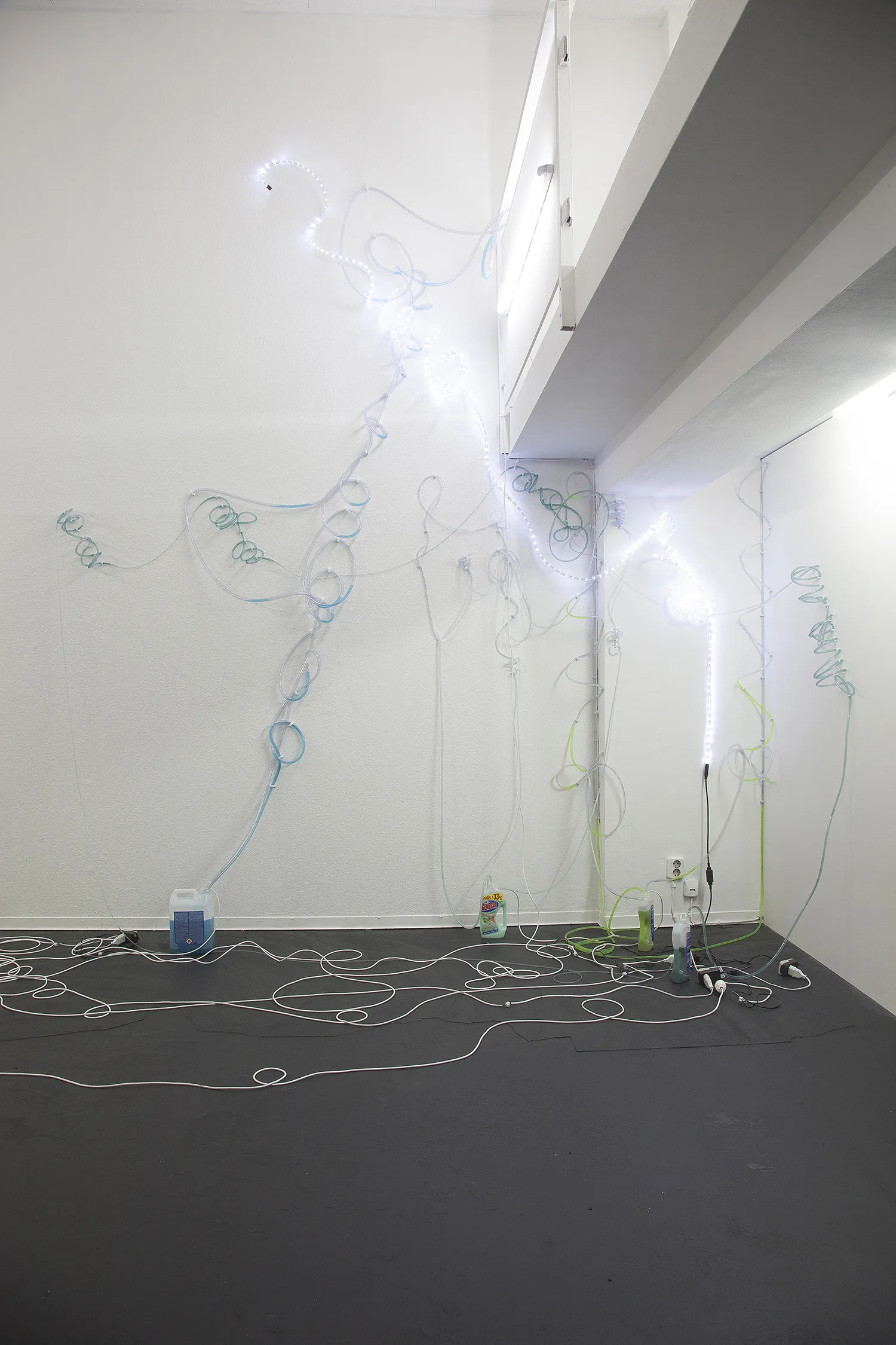 Daniel Stempfer - undefined
