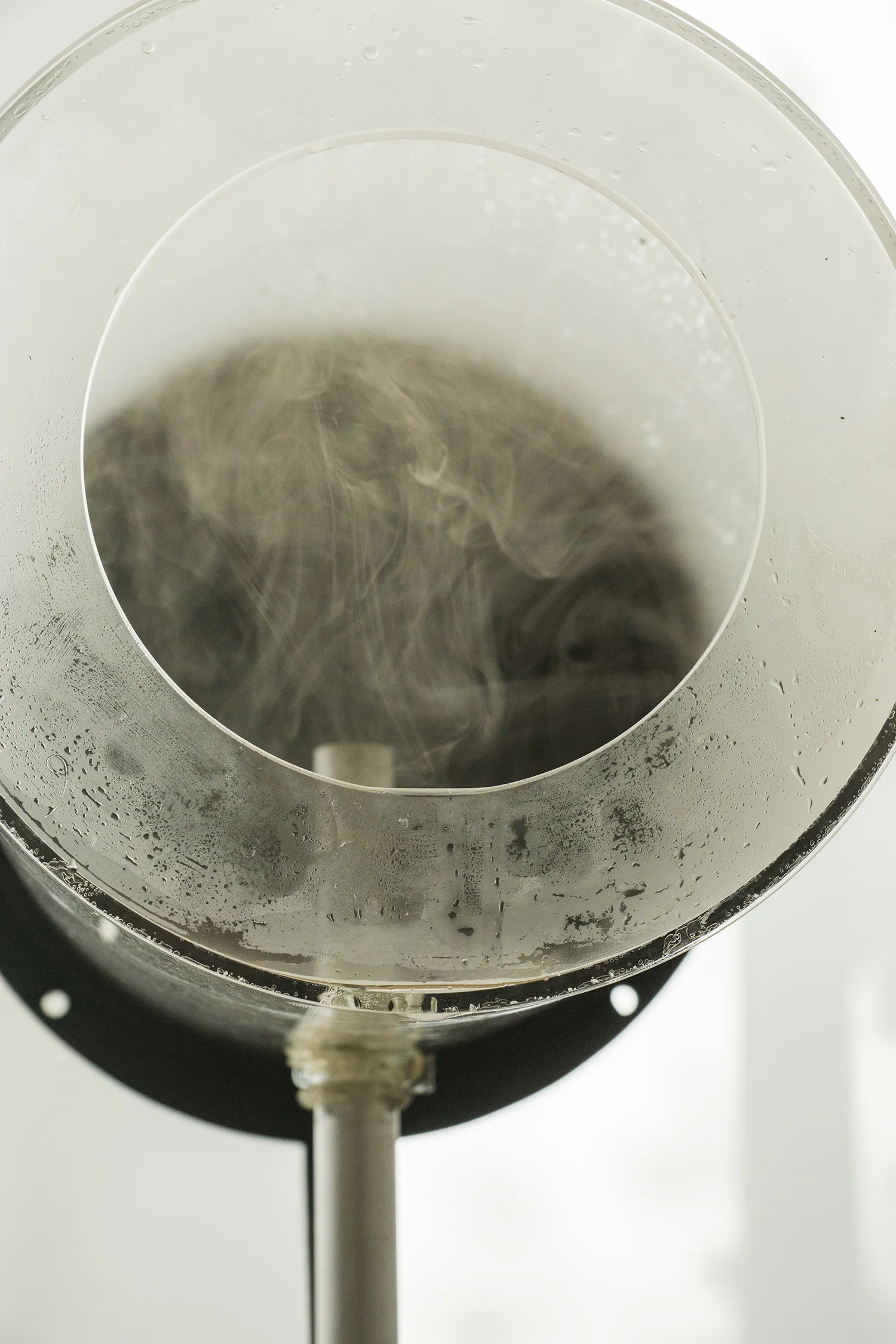 Daniel Stempfer - undefined